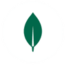 MongoDB Compass