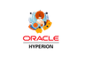 Oracle Hyperion Planning