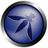 OWASP