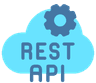 REST APIs