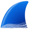 Wireshark