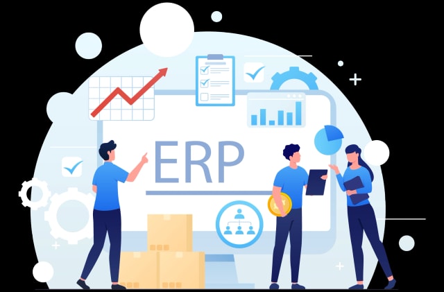 SAP Training in Nagercoil Training Image